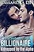 A Baby for the Billionaire 4: A New Beginning