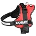 Julius-K9 Powerharness, Size 0, Red