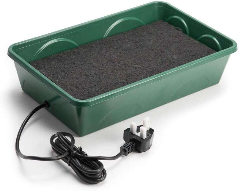 EarlyGrow Heated Electric Shatterproof 2-Bay Self-Watering Propagator - 38 x 24 x 18cm, Green - Image 4