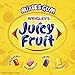 Juicy Fruit Mixies Fruity Chews Sugarfree Gum, 40-Piece Bottle (Pack of 6)