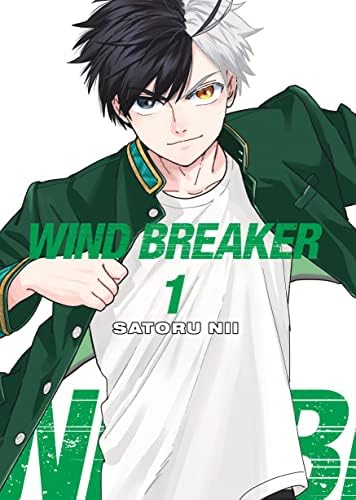 Amazon.com: Wind Breaker 1 (Shônen): 9788419290878: Nii, Satoru