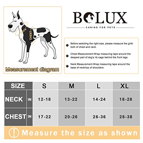 Bolux No Pull Dog Harness, Handmade Adjustable Pet Reflective Oxford Soft Vest Harness with Leash Clips for Small Medium Large Dogs, Pet No-Choke Harness with Nylon Handle