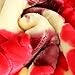 JYK 10 lbs King Ultra Silky Heavy Thick Korean Mink Bed Blanket, Two-Ply Printing Reversible (Flower&Red)