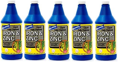 Liquinox 3032 Iron Zinc Chelated Solution, 32-Ounce (5-(Pack))