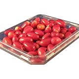 Miracle Fruit Berries - Pack of 20