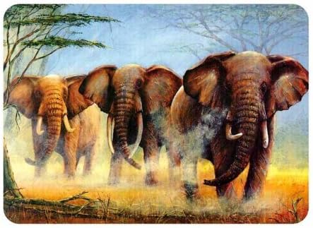 Medium Premium Glass Chopping Board - Elephants Kitchen Worktop Saver Protector