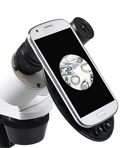 Bresser 3D Stereo Auflicht- Durchlicht Mikroskop Erudit ICD 20x und 40x Vergrößerung, LED Beleuchtung mit Batterie- oder… – Bild 6