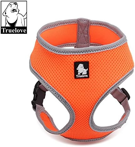 PURR Multi-colored Lockable Cat Harness, Safe, Adjustable, Lock Secure, All Weather, Pet Vest, Outdoor (Large, Neon Orange / Grey)