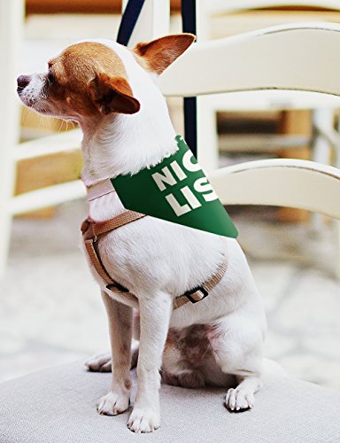 Dog Christmas Decorations I'm on the Nice and Naughty List Bundle Christmas Decorations for Dogs Small Dog Bandanas 2-Pack Scarves for Dogs Bibs