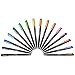 SHARPIE Art Pens, Fine Point, Assorted Colors, Hard Case, 16 Count (1983966)