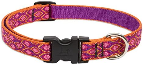 LupinePet Originals 3/4" Alpen Glow 15-25" Adjustable Collar for Large Dogs