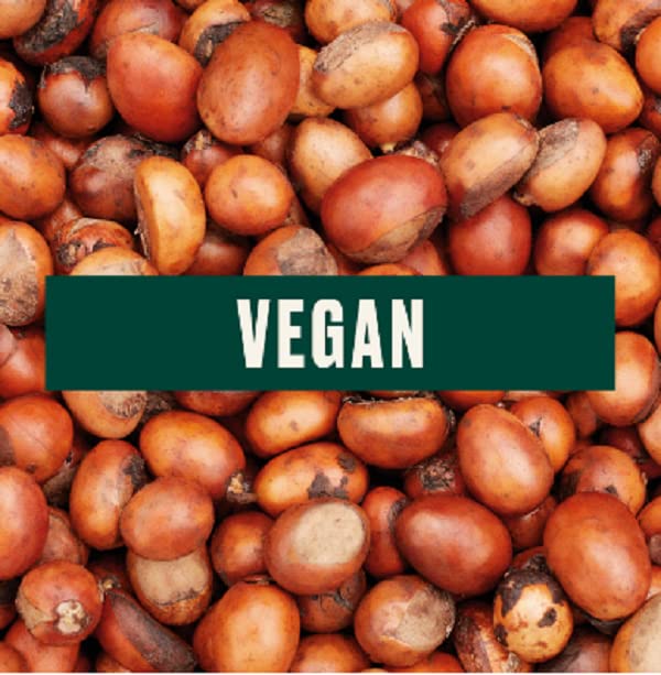 The Body Shop Shea Exfoliating Sugar Body Scrub – Refreshes and Cools with a Delicately Nutty Scent – Vegan – 1.7 oz