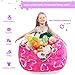 Stuffed Animal Storage Bean Bag Cover - Stuffed Toy Organizer and Storage Solution. Pink Color, Nice for Girls. 27 in, Little Princess