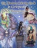 Big Fantasy Coloring Book in Grayscale - 100 Illustrations to Color by Molly Harrison: Grayscale Adult Coloring Book featuring Fairies, Mermaids, Witches, and More! 100 Pages to Color! by Molly Harrison