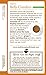 Traditional Medicinals Organic Belly Comfort Peppermint Tea, 16 Count, Pack of 6