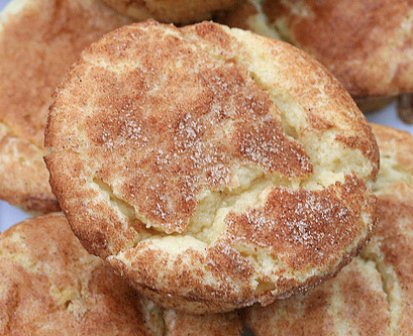 Low Carb Snickerdoodle Cookie Mix - LC Foods - All Natural - No Sugar - Diabetic Friendly - 9.2 oz