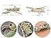 Alilang Synthetic Peridot Green Rhinestone Crystal Insect Grasshopper Locust Leaf Big Pin Brooch, Gold