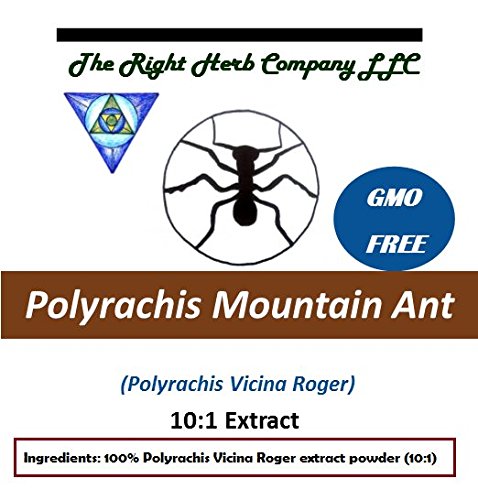 Polyrachis (vicina roger) extract powder 10:1 superior …