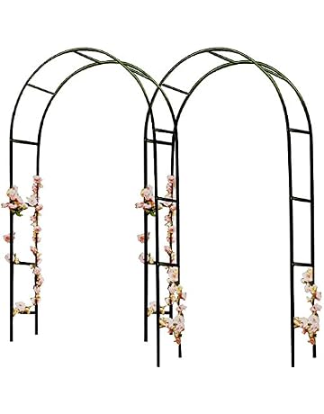 Amazon.es: Soportes para plantas: Jardín