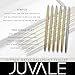 Juvale Ballpoint Pens Bulk - 6-Pack Metal Ballpoint Pens, 0.7mm Fine Point, Business Pens for Personal, or Business Use, 5 Gold, 1 Silver, Storage Case Included