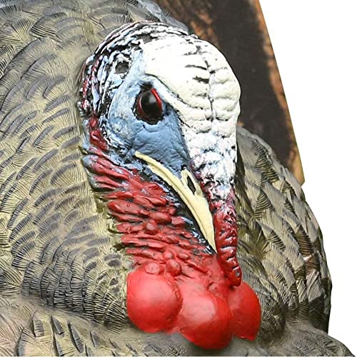 AVIANX LCD Strutter Durable Realistic Lifelike Collapsible Standing