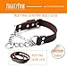 Mighty Paw Martingale Dog Collar - No Pull Design - Stainless Steel Chain - Limited Chain Cinch Training - Brown Leather Martingale Training Collar - Small Size