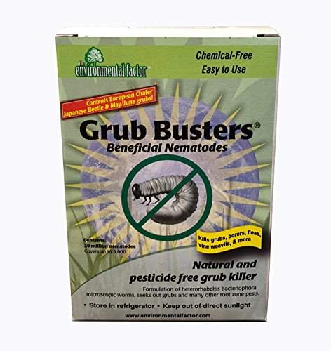 10 Million Beneficial Nematodes (H.bacteriophora) - Nema Globe Grub Buster for Pest Control - New 10 Million Beneficial Nematodes (H.bacteriophora) - Nema Globe Grub Buster for Pest Control - New