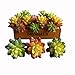 Neomark Set of 3 Vinyl Artificial Succulent Cactus Plants for Office Home Decor Craft Making