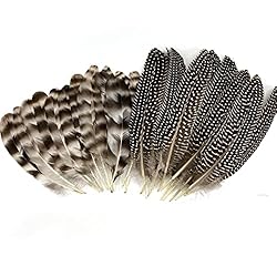 30 Pcs Natural Pheasant Feathers for DIY Craft