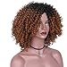 AisiBeauty Brown Kinky Curly Hair Wigs Heat Resistant Fiber Fluffy Wigs Short Ombre Synthetic Curly Wigs for Black Women African American Female