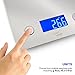 Smart Weigh 11 pounds or 5 kilograms Digital Multifunction Food and Kitchen Scale, Stainless Steel