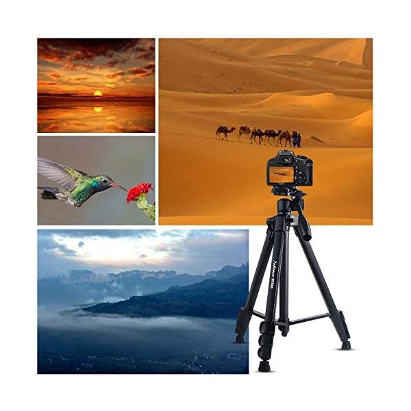 Kamera Stativ 58 Zoll Portable Professionelle Leichtgewicht Traveller Aluminium Stativ mit Pan Kopf für Kamera DSLR DV… – Bild 3