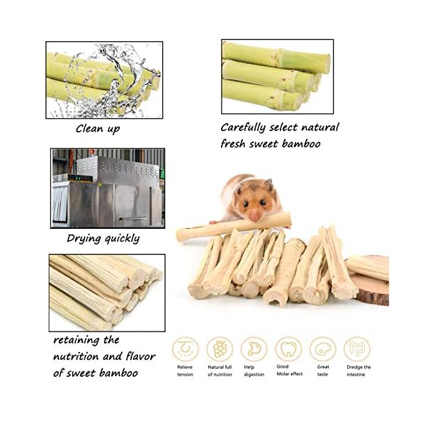 XIAO MO GU Bunny Chew Toys, 3 Types Rabbit Hamster Toys with Apple Wood Sticks Teeth Grinding Toy for Rabbits Bunny…