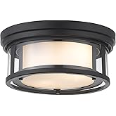 Z-Lite 2 Light Flush Mount 426F12-MB