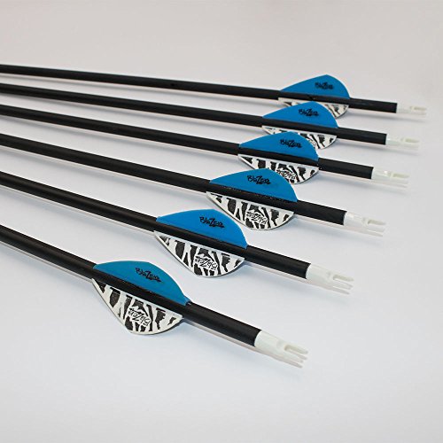 Archery sharly 31" Carbon Practice Targeting Arrows,5" Natural Feather Arrows with Screw-in Tips for Recurve Traditional and Long Bow (12PACK)