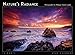 Nature'S Radiance 2020 Wall Calendar: by Sellers Publishing by