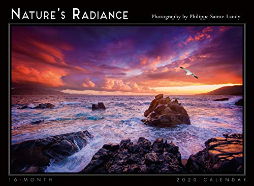 Nature'S Radiance 2020 Wall Calendar: by Sellers Publishing by