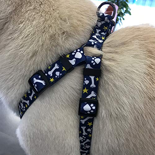 QQPETS Dog Harness Leash Set, Adjustable Heavy Duty No Pull Basic Harnesses for Extra Small Breed Dogs, Back Clip, Anti-Twist, Perfect for Walking (XS(12"-18" Chest Girth), Bone)
