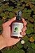 Perineal Spray for Postpartum and Hemorrhoid Care – All Natural Alcohol Free Witch Hazel Spray – 4 Fl Oz