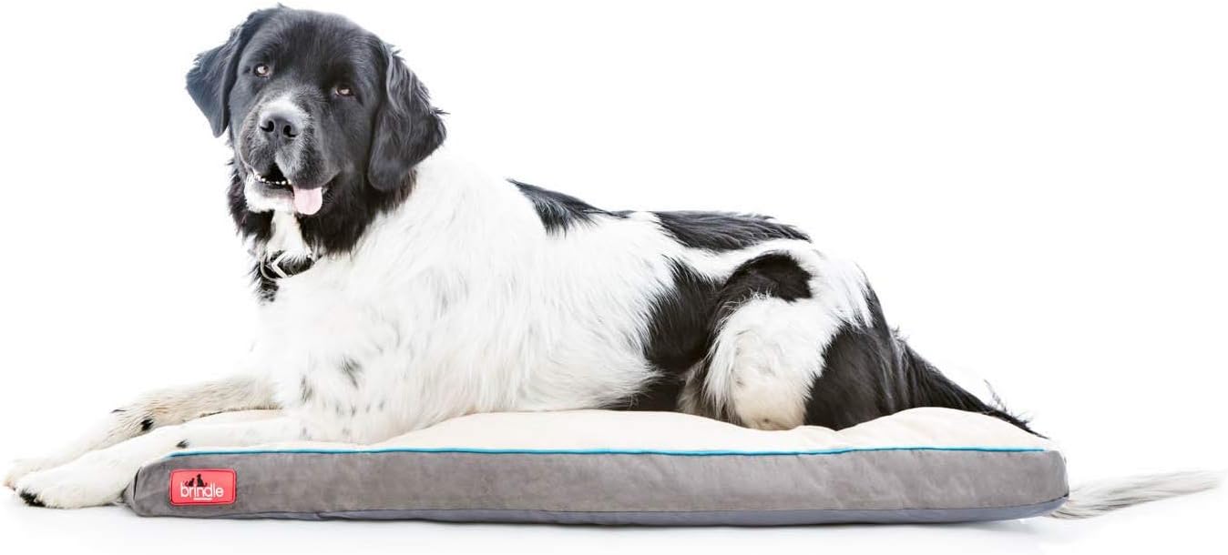 Brindle Shredded Memory Foam Dog Bed with Removable Washable Cover-Plush Orthopedic Pet Bed - 46 x 28 inches - Khaki