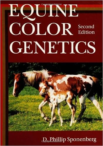Equine Color Genetics Equine Color Genetics