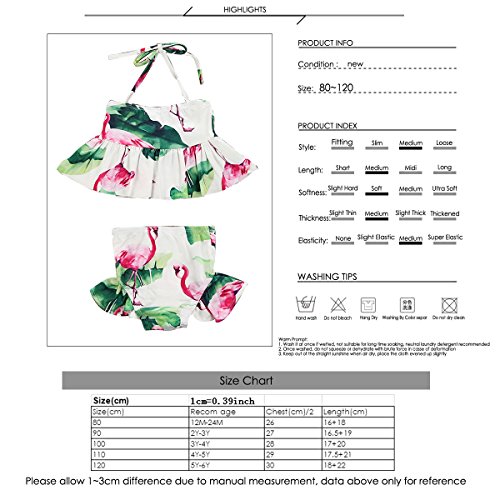 Baby Kids Toddler Girl Flamingo Halter Tops + Shorts Beachwear Swimwear Set (2T)