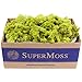 SuperMoss (21773) Reindeer Moss Preserved, Chartreuse, 3lbs