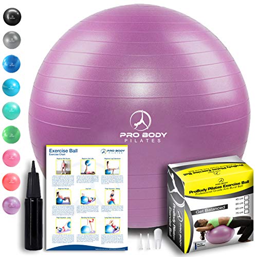 ProBody Pilates Exercise Ball - Professional Grade Anti-Burst Fitness, Balance Ball for Yoga, Birthing, Stability Gym Workout Training and Physical Therapy - Work Out Guide Included (Purple, 65 cm)