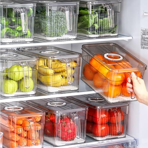 Clear Stackable Fridge Organizers & Storage XVersion 2PCS Transparent Food Storage Containers with Timer Lids & Handle | Fresh-Keeping Storage for Fruits, Vegetables & Eggs (V1)