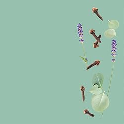 VINEVIDA [32 Fl Oz] Scent NO. 1100 Fragrance Oil
