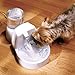 PetSafe Drinkwell Original Dog & Cat Water Fountain - Encourages Daily Drinking - Carbon Filter Hydration - BPA Free Fountain - Bonus Reservoir Unit - 100 oz Capacity
