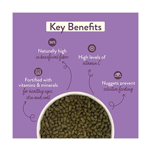 Excel-Burgess-Guinea-Pig-Nuggets-Blackcurrant-and-Oregano-2-kg Excel Burgess Guinea Pig Nuggets Blackcurrant and Oregano, 2 kg