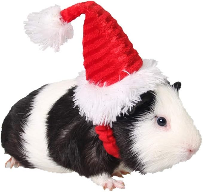 Santa Hats For Small Animals Cheap Sale 