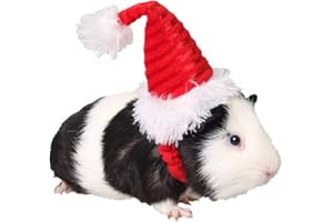 ANIAC Christmas Hamster Hats Guinea Pig Costume Mini Santa Hat for Kitten Chinchilla Rabbit Bunny Hedgehog Ferret Squirrel Rats Duck Newborn Puppy